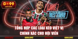 Tổng Hợp Các Loại Kèo Việt Vị Chính Xác Cho Hội Viên